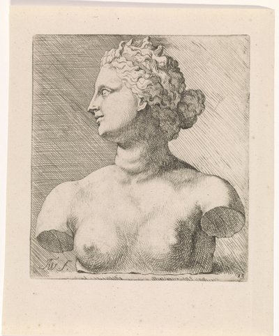 Buste van Venus de