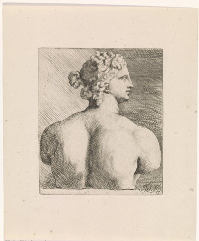 Buste van Venus de