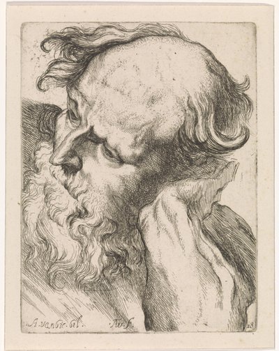 Hoofd van een oude man (Jozef) Studies voor een tekeningenboek naar klassieke sculpturen en figuren van Anthony van Dyck door Augustinus Terwesten (I)