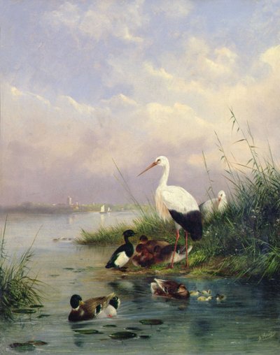 Een familie van wilde eenden, twee ooievaars en een familie van kuifeenden door Augustus Knip