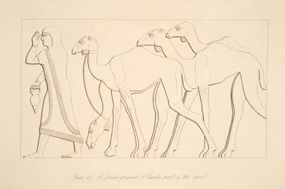 Een vrouwelijke gevangene en kameel, illustratie uit Monumenten van Nineveh, 1849 door Austen Henry Layard