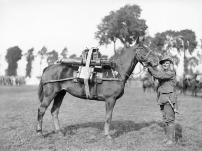 Een Australische soldaat, 244 bestuurder F W Stephenson, 2nd Australian Machine Gun Battalion, met een pakpaard beladen met een machinegeweer bij de Australian Pack Training School in Morbecque, 29 augustus 1917 door Australian Photographer
