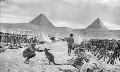 Linies van het 9th en 10th Battalion van Australië in Mena Camp, kijkend naar de piramides, december 1914 door Australian Photographer
