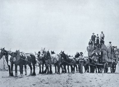Woltransportteam, West-Australië, c.1900, uit 