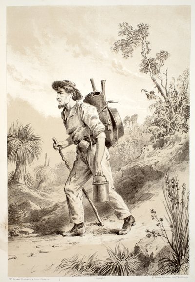 Digger op de Tramp, uit The History of Australasia door David Blair, McGrady, Thomson, en Niven, 1879 door Australian School