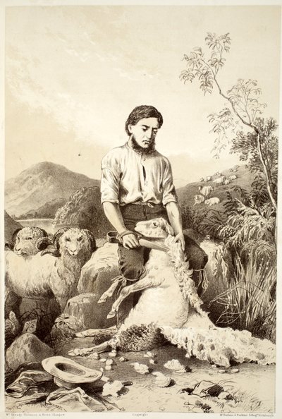 Schapenscheren, uit The History of Australasia door David Blair, McGrady, Thomson, en Niven, 1879 door Australian School