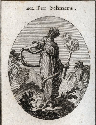 Allegorie van pijn. Een monsterlijke slang omringt hem die, nadat hij zijn voeten heeft gebonden, zijn lichaam bereikt en probeert zijn hart te bijten. Ze houdt een fakkel die nog steeds rookt, wat betekent dat pijn veroorzaakt door verlamming het vuur van door Austrian School