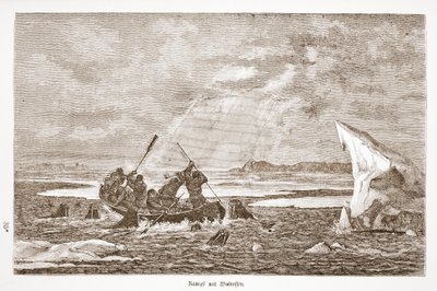Gevecht met walrus, 1876 door Austrian School