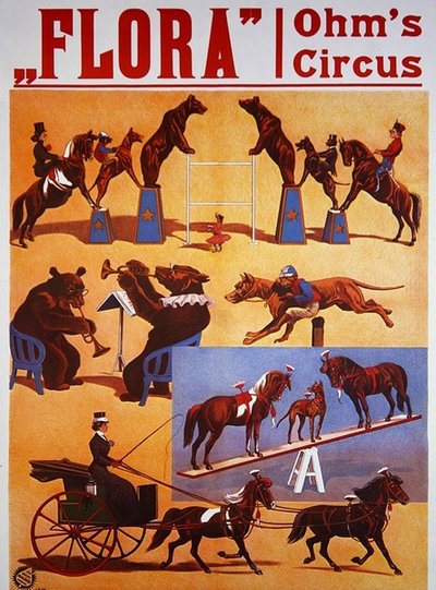 Poster voor 