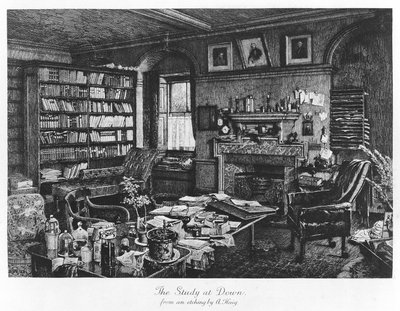 De Studie in Down, uitgegeven 1882 (gravure) door Axel (after) Haig