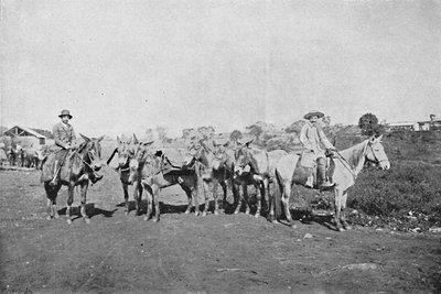 Handelaren van het binnenland, 1895 door Axel Frick