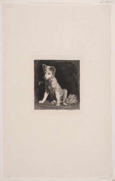 De hond en de bij door Axel Helsted