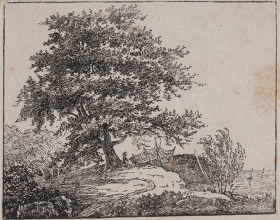 Boom op een helling bij de zee door Axel Theodor Kittendorff