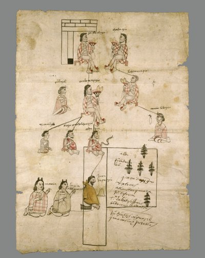 Pagina van Azteeks Landregister, ca. 1575 door Aztec