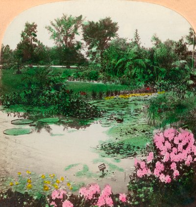 Lelie vijver, Tower Grove Park, St. Louis, Mo., V.S., 1897 door B. L. Singley
