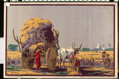 Een rijstveld, uit de serie 