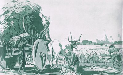 Een rijstveld in Birma, uit MacMillan schoolposters, c.1950-60s (litho) door Ba Nyan