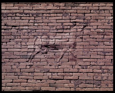 Detail van een stier (reliëf van de Ishtarpoort) door Babylonian