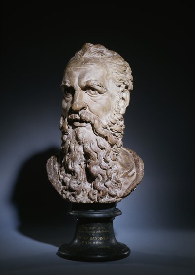 Studie van het Hoofd van Sint Paulus, c.1535 door Baccio Bandinelli
