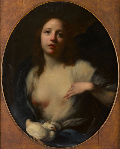 Schilderij van een jong meisje met witte duif door Baldassare (1611 89) Franceschini