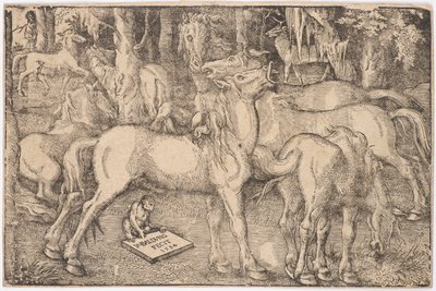 Groep van zeven paarden, 1534 door Baldung