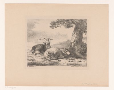 Bok en schaap door Balthasar Paul Ommeganck