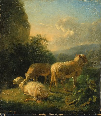 Schapen door Balthasar Paul Ommeganck
