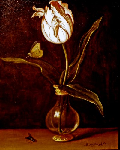 Een enkele tulp in een vaas door Balthasar van der Ast
