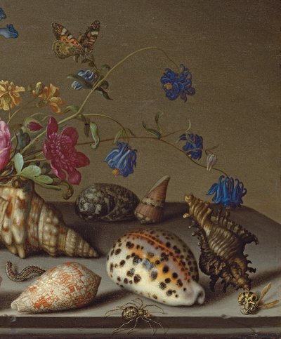 Bloemen, schelpen en insecten op een stenen richel door Balthasar van der Ast