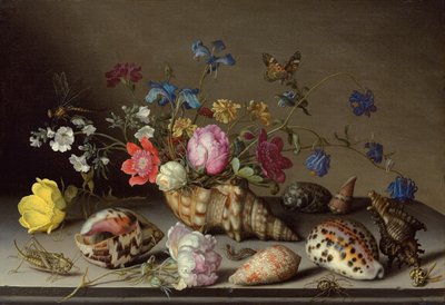 Bloemen, schelpen en insecten op een stenen richel door Balthasar van der Ast