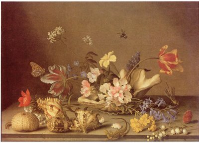 Stilleven van bloemen en schelpen door Balthasar van der Ast