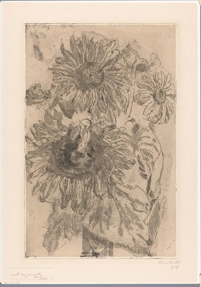 Drie zonnebloemen in een vaas door Barbara Elisabeth van Houten (signed by artist)