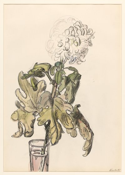 Bloeiende chrysant, in een vaasje door Barbara Elisabeth van Houten