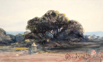 Landschap: dennenboom en kleine toren door Barbara Leigh Smith Bodichon