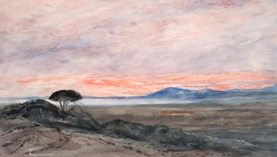 Landschap: Zonsondergang door Barbara Leigh Smith Bodichon