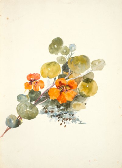 Oost-Indische kers door Barbara Leigh Smith Bodichon