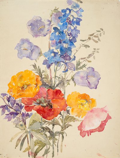 Gele, rode en blauwe bloemen door Barbara Leigh Smith Bodichon
