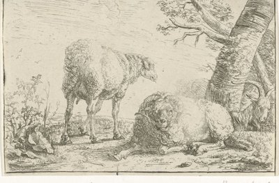 Twee schapen en een geit door Barend Graat