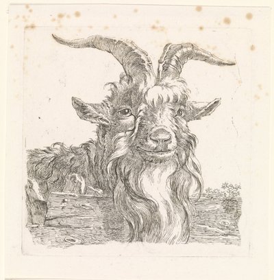 Kop van een bok door Barend Hendrik Thier