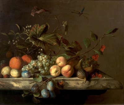 Stilleven met Libelle, 1692 door Barend or Bernardus van der Meer