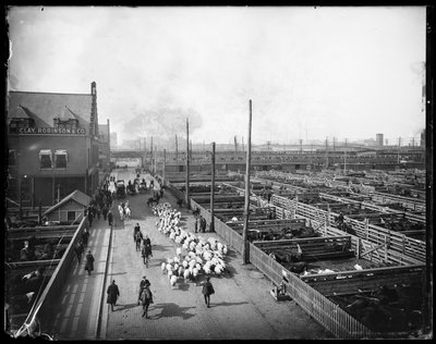 Union Stock Yards, Chicago, Illinois, VS, ca. 1910 door Barnes and Crosby