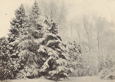 Landschap van Sparren onder de Sneeuw door Baron A. Fays