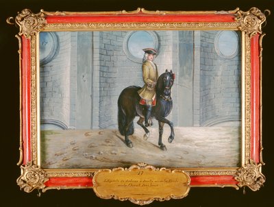 Nr. 17 Een donkerbruin paard van de Spaanse Rijschool dat een schouder-in dressuurstap uitvoert door Baron Reis Eisenberg