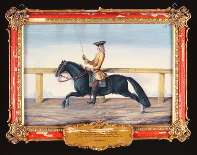 Nr. 28 Een zwart Spaans paard van de Spaanse Rijschool dat een dressuurbeweging uitvoert door Baron Reis Eisenberg