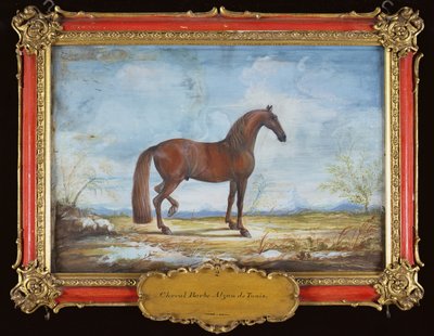 Nr. 2 Alzan de Tunis, een Berberpaard van de Spaanse Rijschool door Baron Reis Eisenberg
