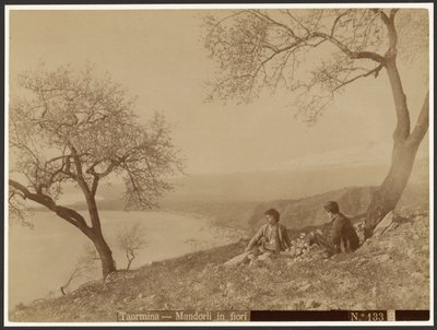 Bloeiende amandelen, Taormina door Baron Wilhelm von Gloeden
