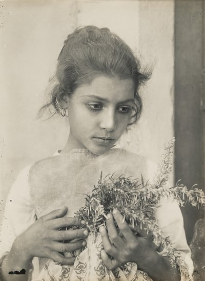 [Meisje met rozemarijn]. door Baron Wilhelm von Gloeden