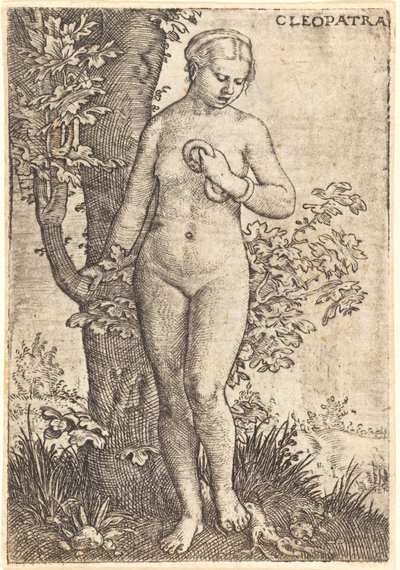 Cleopatra door Barthel Beham
