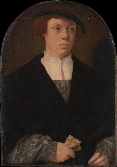 Portret van een man, 1533 door Bartholomaeus Bruyn the Elder