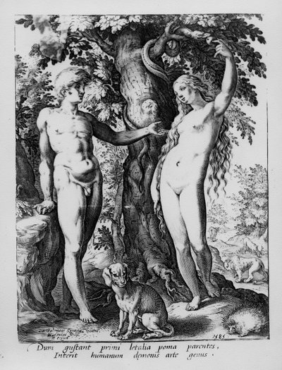 Adam en Eva, gegraveerd door Hendrik Goltzius, 1585 door Bartholomaeus Spranger